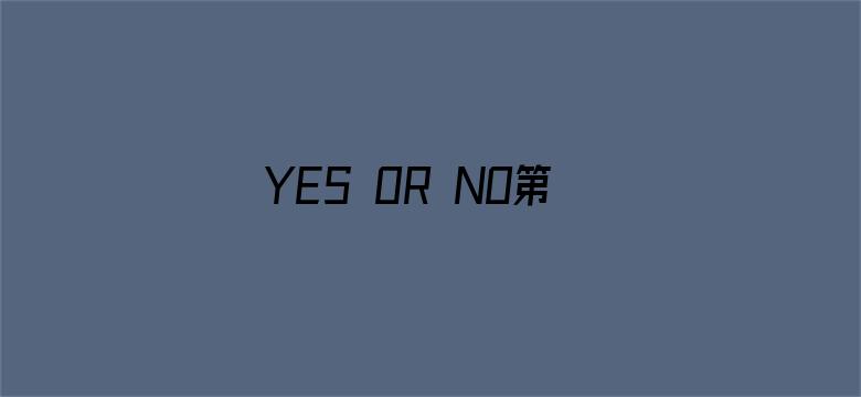 YES OR NO第二季